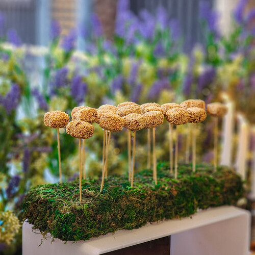 Person Package 25-30