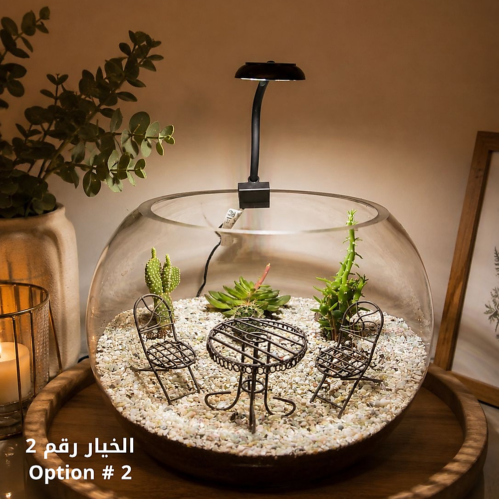 حديقتك الساحرة - الآن في منزلك