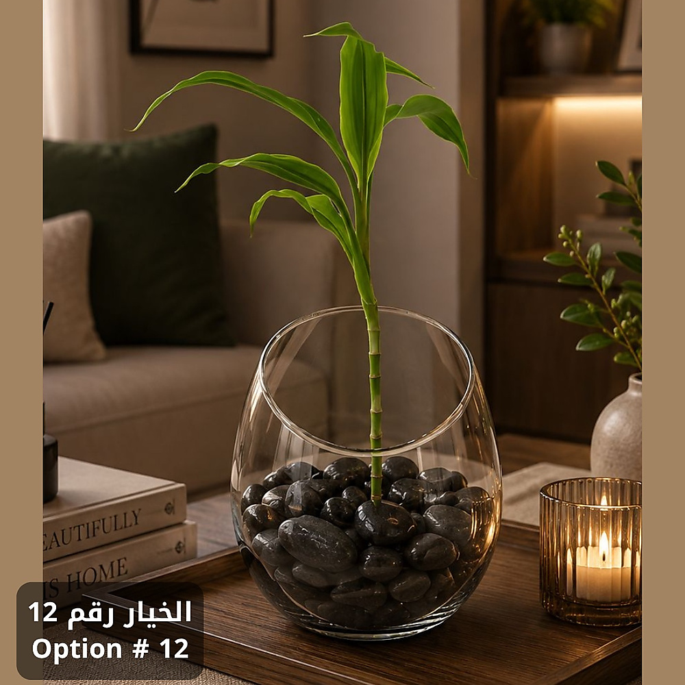 حديقتك الساحرة - الآن في منزلك