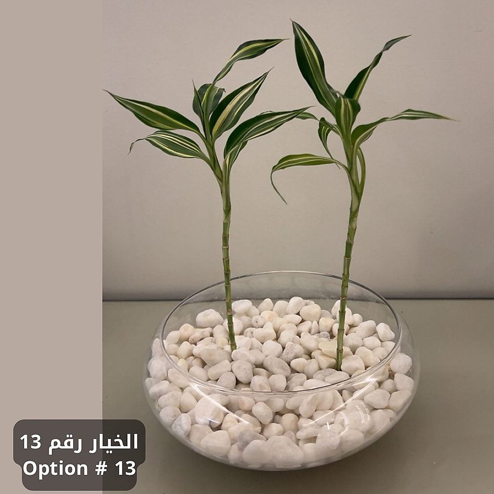 حديقتك الساحرة - الآن في منزلك