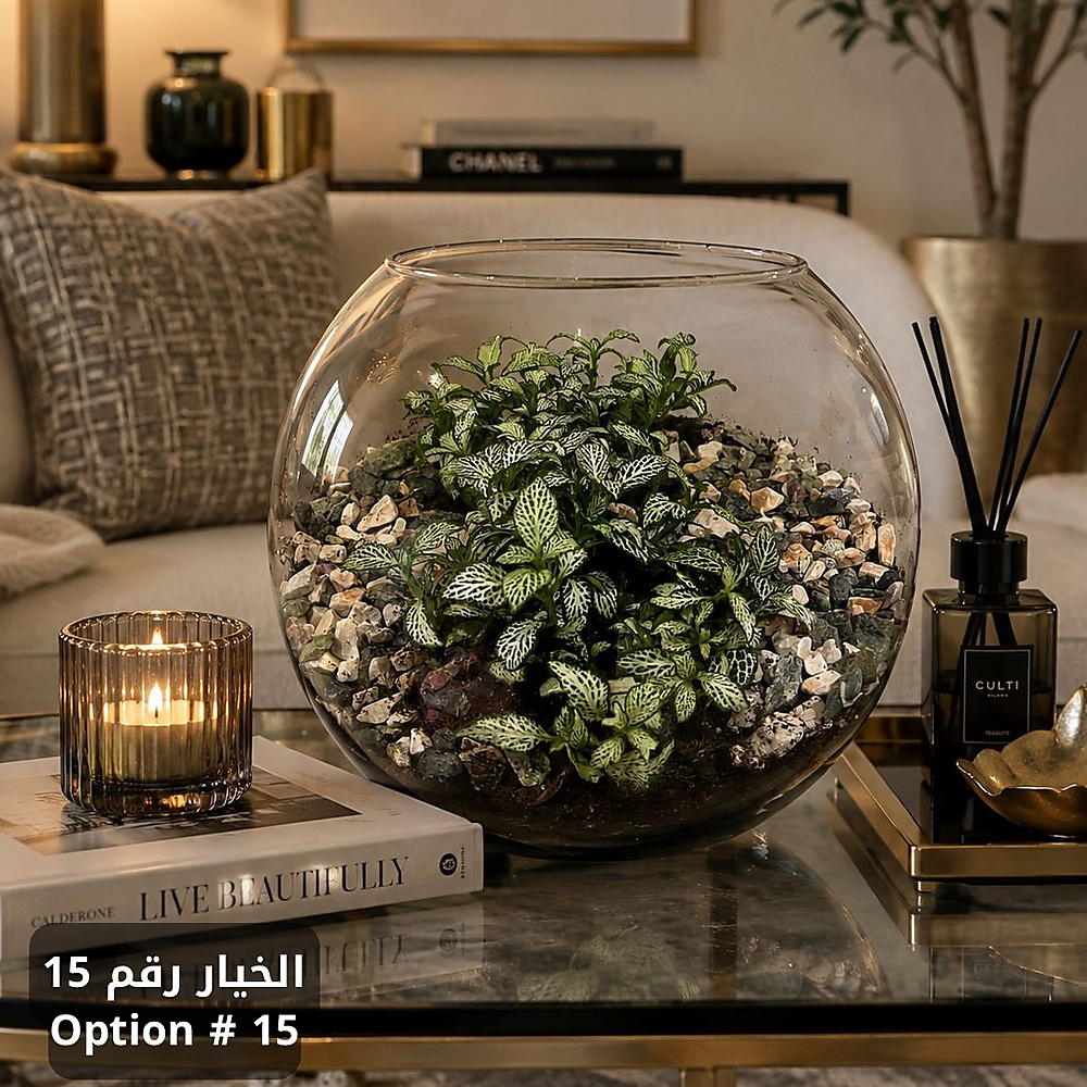حديقتك الساحرة - الآن في منزلك