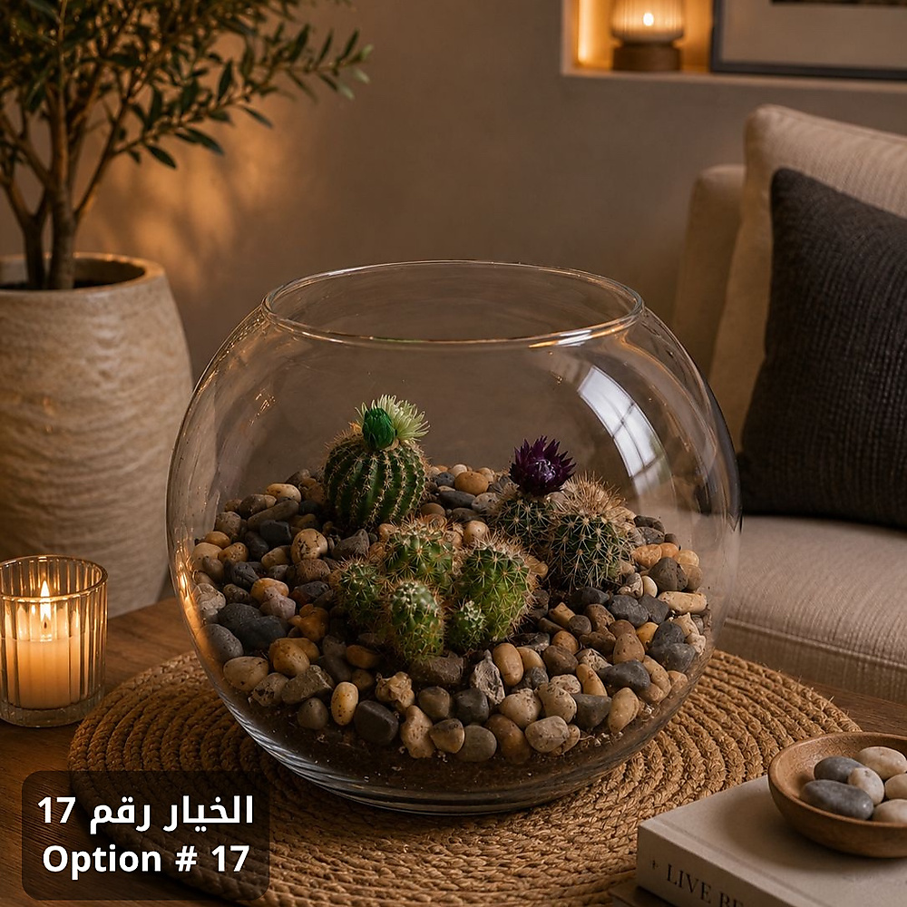 حديقتك الساحرة - الآن في منزلك