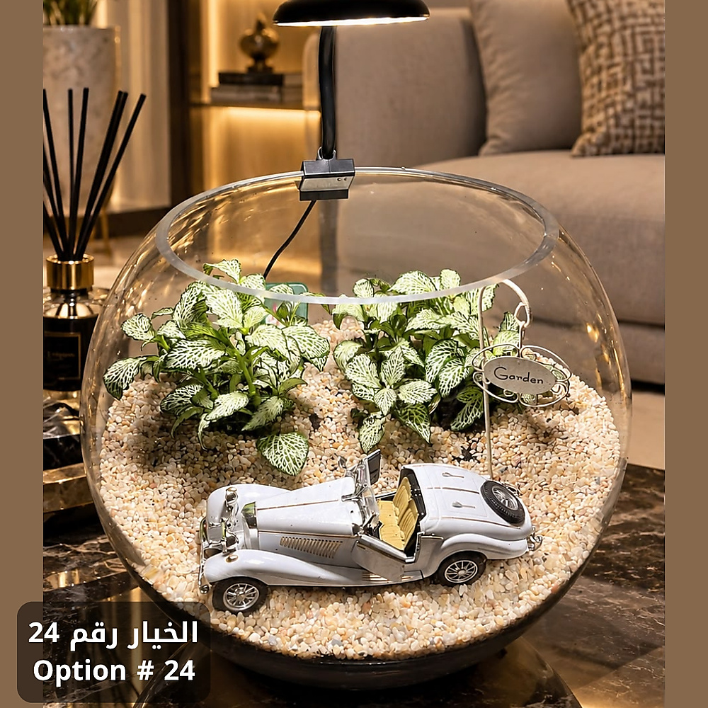 حديقتك الساحرة - المجموعة الثانية