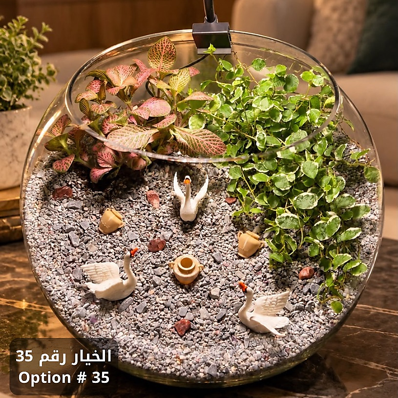 حديقتك الساحرة - المجموعة الثانية