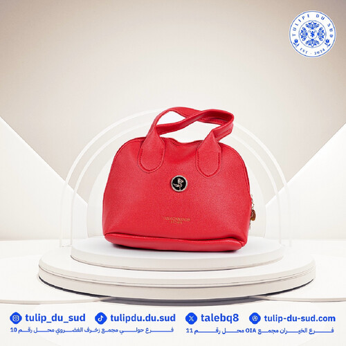 حقيبة يد صغيرة