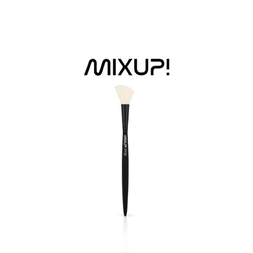 فرشاة تسليط الضوء وأحمر الخدود الاحترافية من Mixup P733