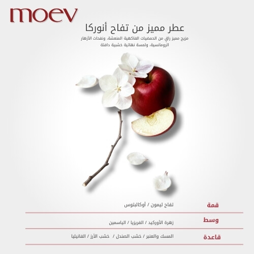 كريم الشعر أنوركاتين نو سيبوم 30 جم