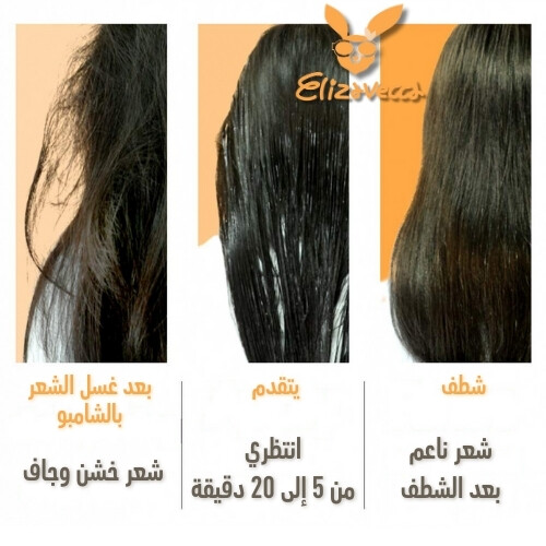 معالجة البروتين بطبقة من السيراميد والكولاجين الحليبي