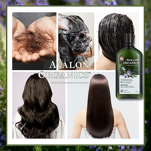 شامبو إكليل الجبل المكثف للشعر 325 مل