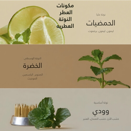 عطر الشعر خلاصة الشعر لايم صنداي ريفريش 50 مل