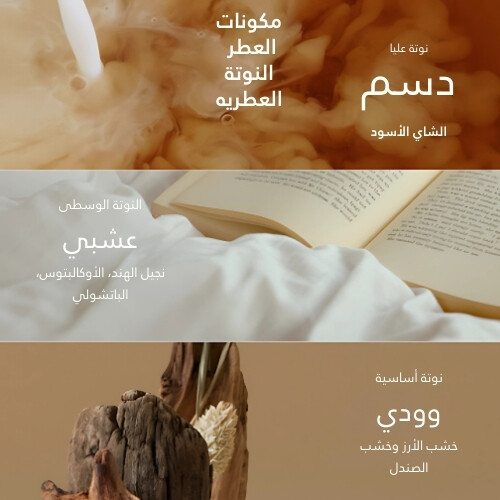 عطر الشعر خلاصة الشاي الأسود المغذية  50 مل