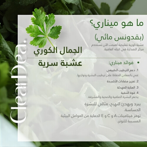 منظف ​​أمبولات ميناري للمسام 80 مل