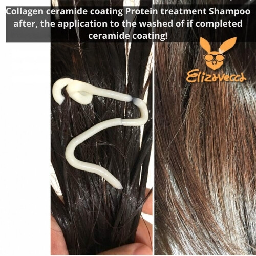 معالجة البروتين بطبقة من السيراميد والكولاجين الحليبي