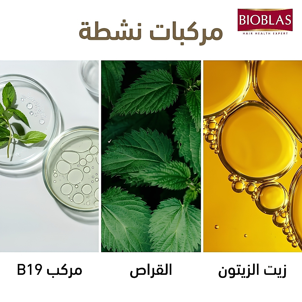 شامبو للوقاية من تساقط الشعر - بذور القراص وزيت الزيتون العضوي 360 مل