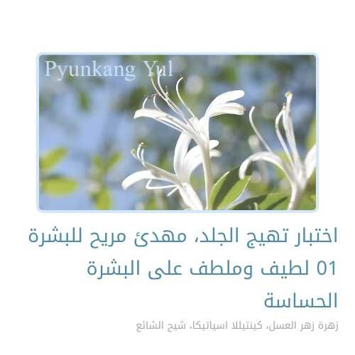 شامبو للأطفال والرضع 590 مل