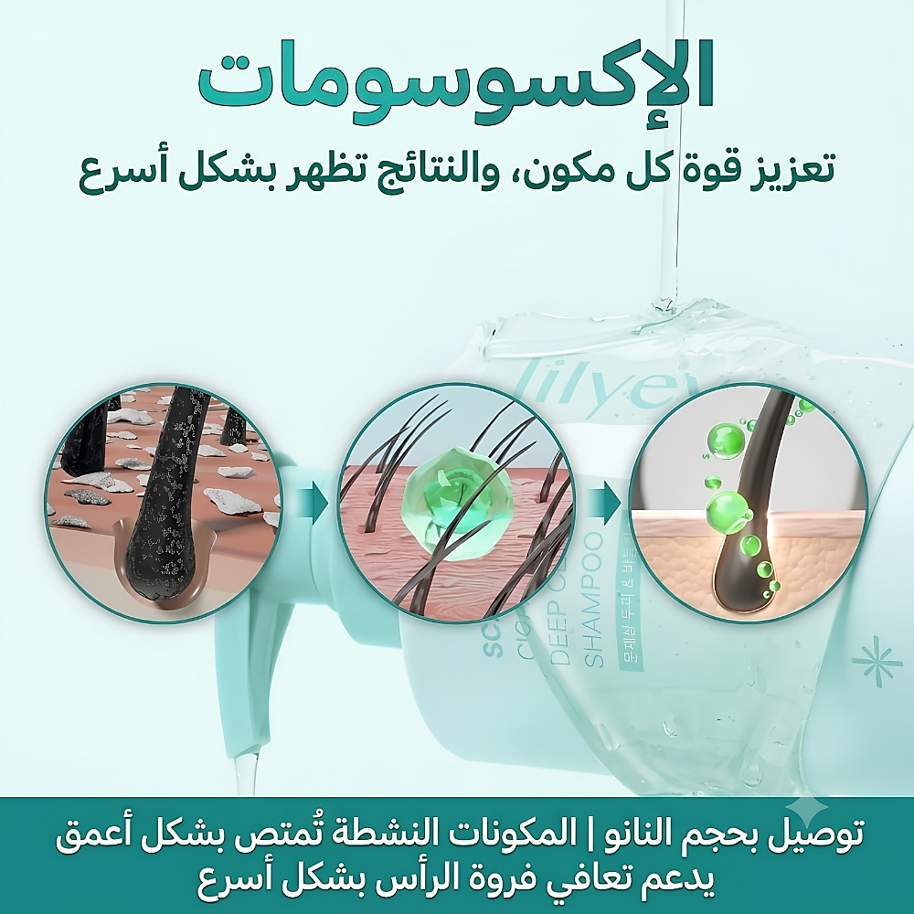شامبو التنظيف العميق لفروة الرأس: تيرن سيكا بي دي آر إن ٥٠٠ غرام