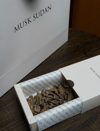 تولة عود موري رسمي