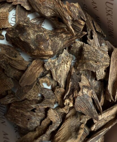 تولة عود موري رسمي