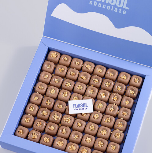 مينسول بايتس