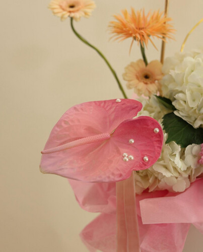 Blush & Bloom