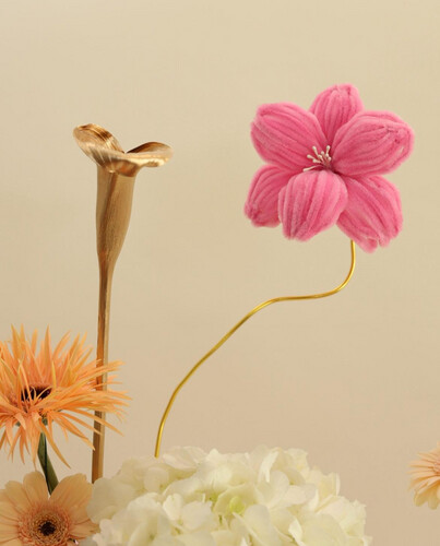 Blush & Bloom