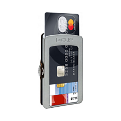 Silver Beach Club Echeveria