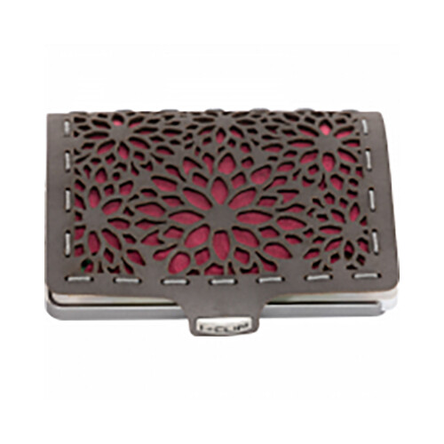 Silver Beach Club Echeveria