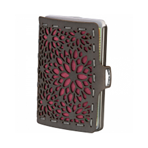 Silver Beach Club Echeveria