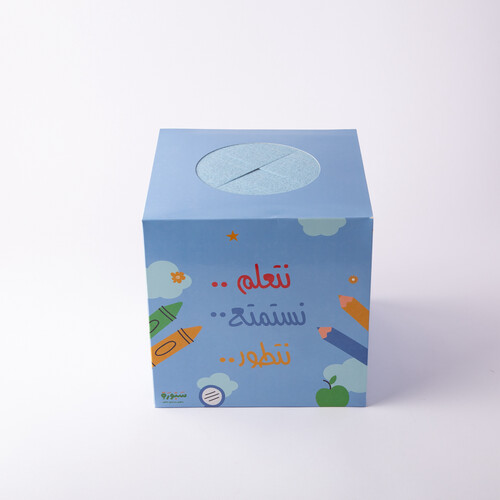 24/24 surprise box (model 2)