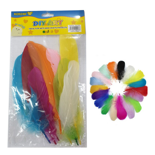 ريش ملون كبير