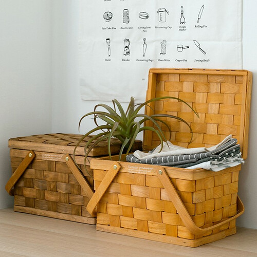 سلة نزهة صغيرة مع غطاء