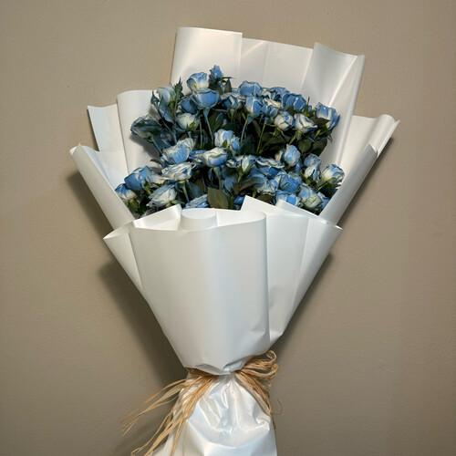 نسيم أزرق - رقم 2249