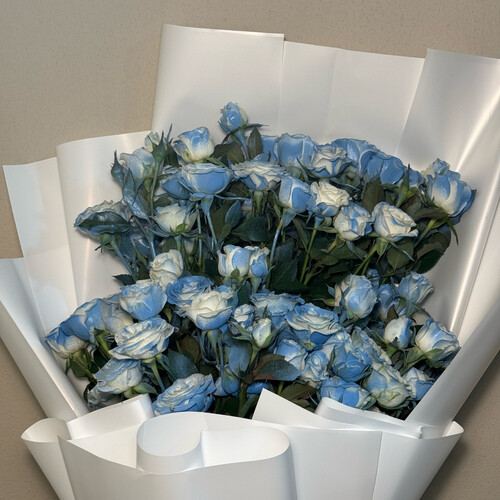 نسيم أزرق - رقم 2249