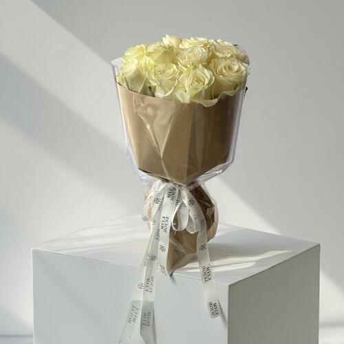 ضوء القمر - رقم 3005