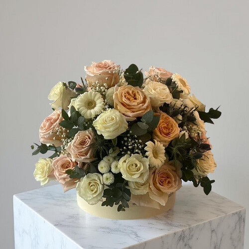 دفء مشرق - رقم 3047