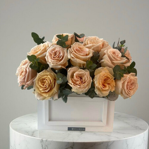 أناقة خوخية - رقم 3043