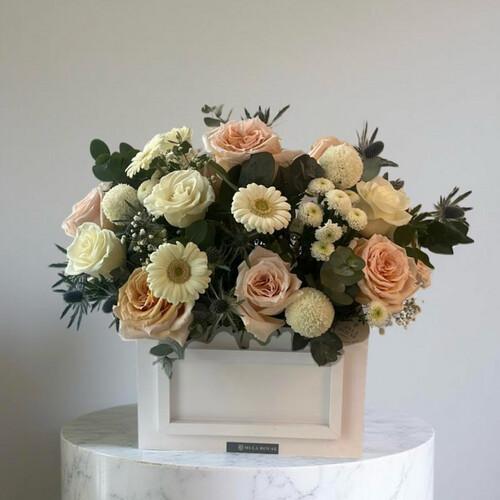 شمس الغروب رقم - 3048