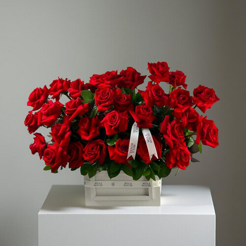 حب كلاسيكي - رقم 3062