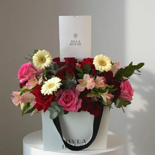 سحر المزيج - رقم 3075