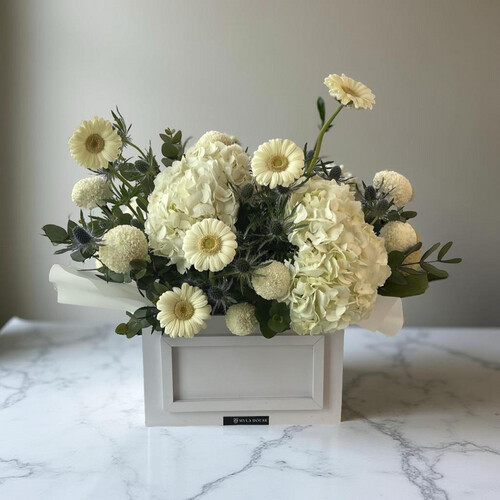 بياض مخملي - رقم 3070