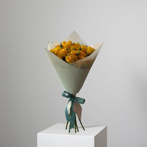 حلم أصفر - رقم 3067