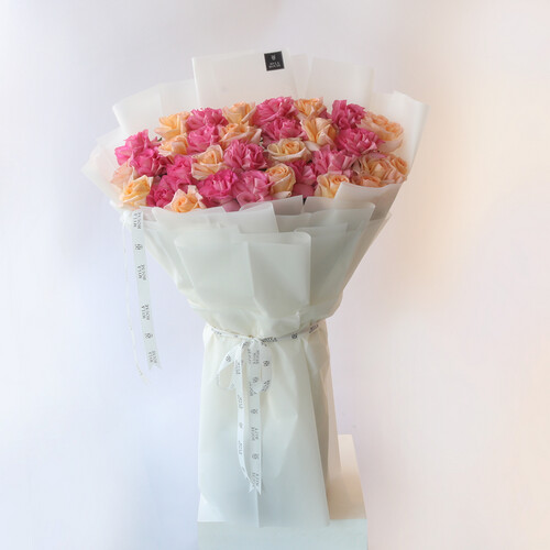 دريم روزز - رقم 3148