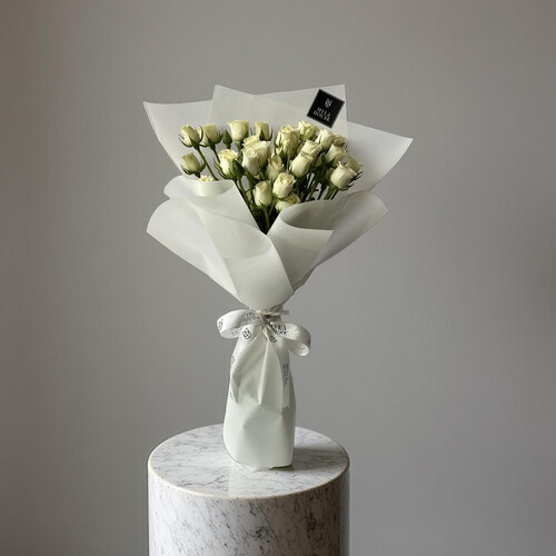 رِقّة اللؤلؤ  - رقم 3011