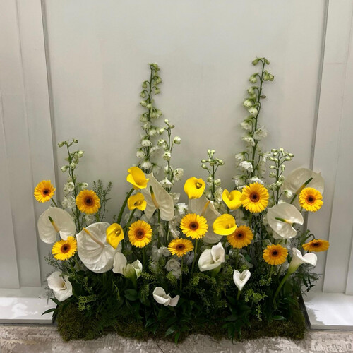 إشراقة صفراء - رقم 2072