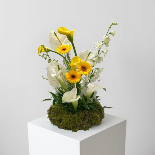 لمسة مضيئة - رقم 2073