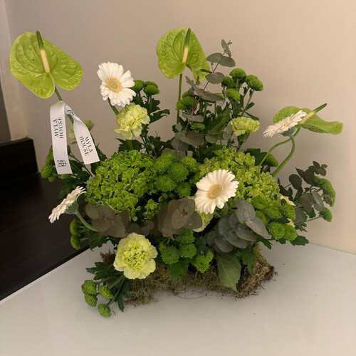 نسمة خضراء 30سم - رقم 2094