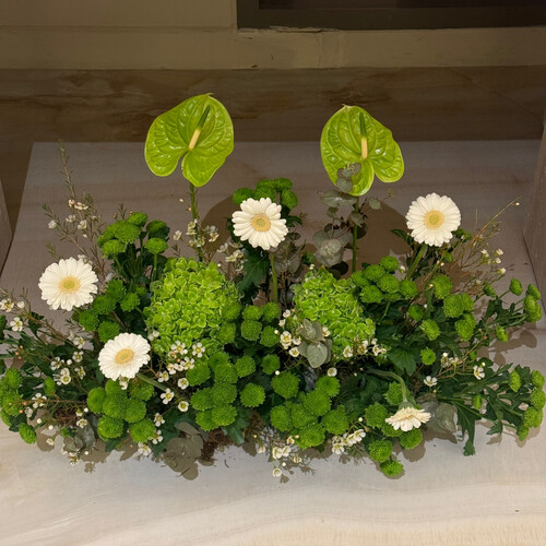 نسمة خضراء 70 سم - رقم 2096