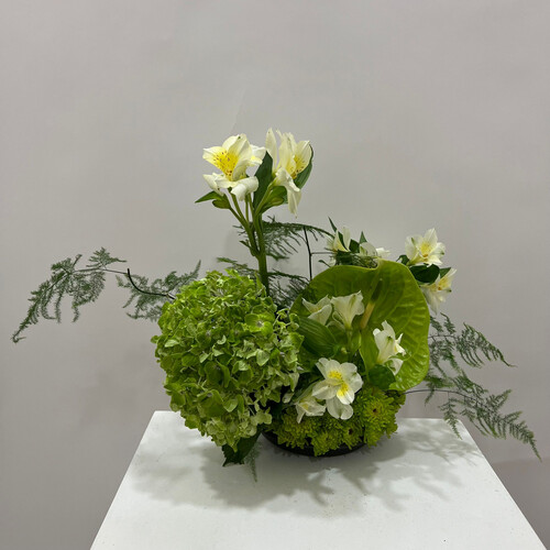 خضار هادئ - رقم 2118