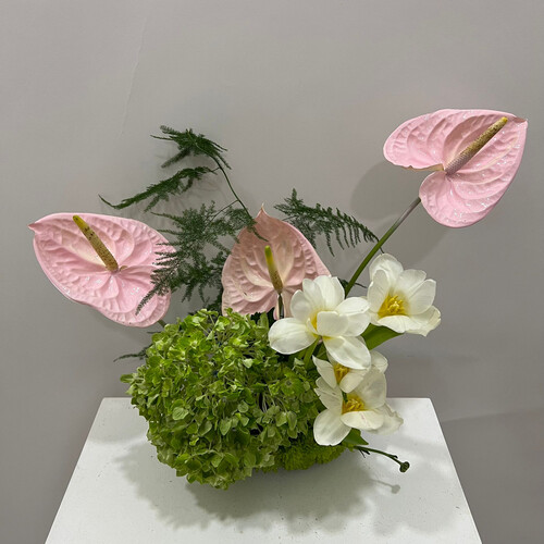 رقة ورد - رقم 2119