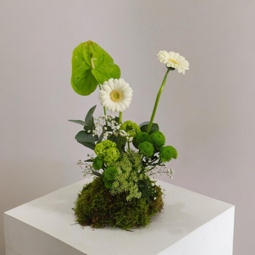 نسمات خضراء ميني - رقم 2122